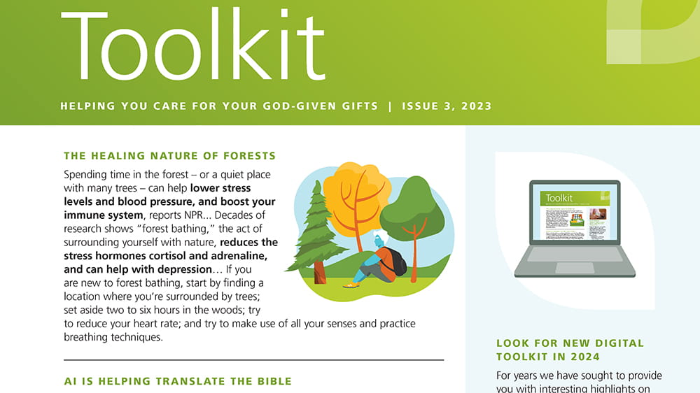 Toolkit issue 3 2023
